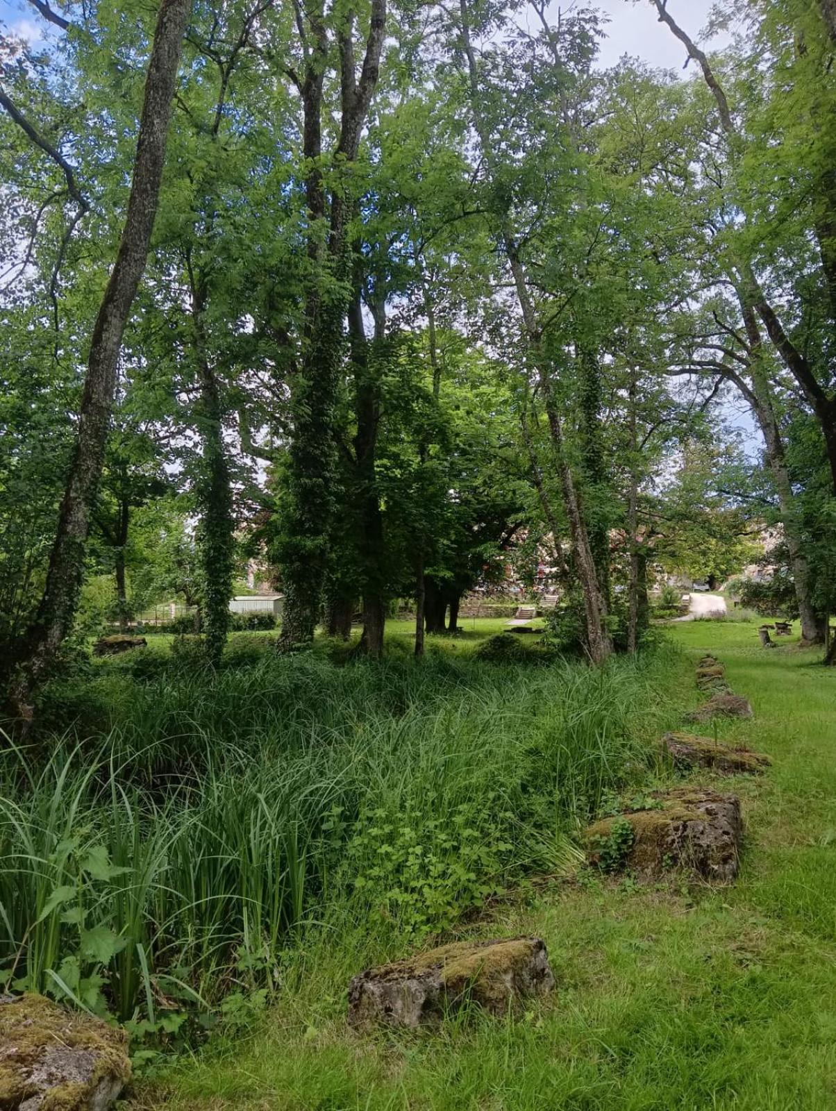 Le Domaine D'Elise Chambres Et Table D'Hotes - Vosges Saint-Ouen-les-Parey Bagian luar foto